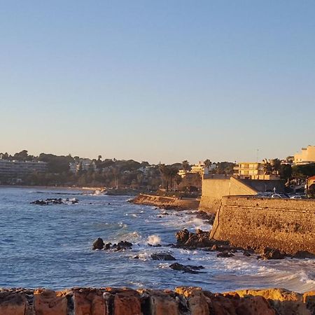 La Tourraque Appartement Antibes Buitenkant foto