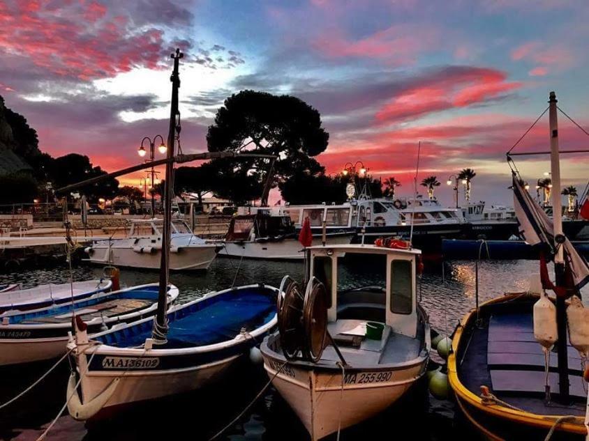 La Tourraque Appartement Antibes Buitenkant foto